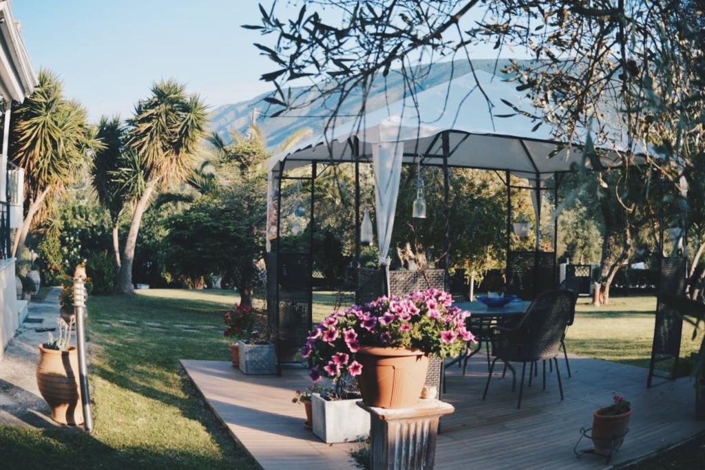 Ferienwohnung Sunny Garden Plataria Exterior foto