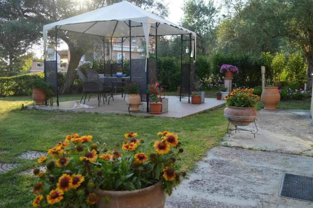 Ferienwohnung Sunny Garden Plataria Exterior foto