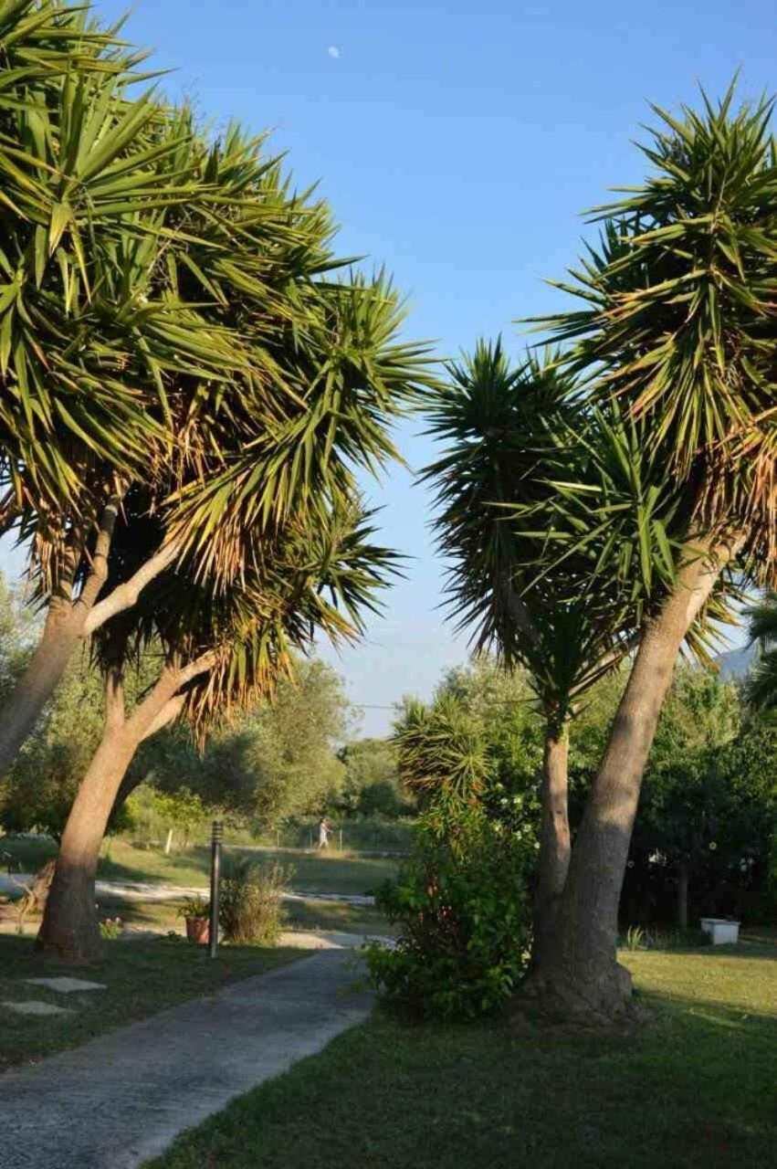 Ferienwohnung Sunny Garden Plataria Exterior foto