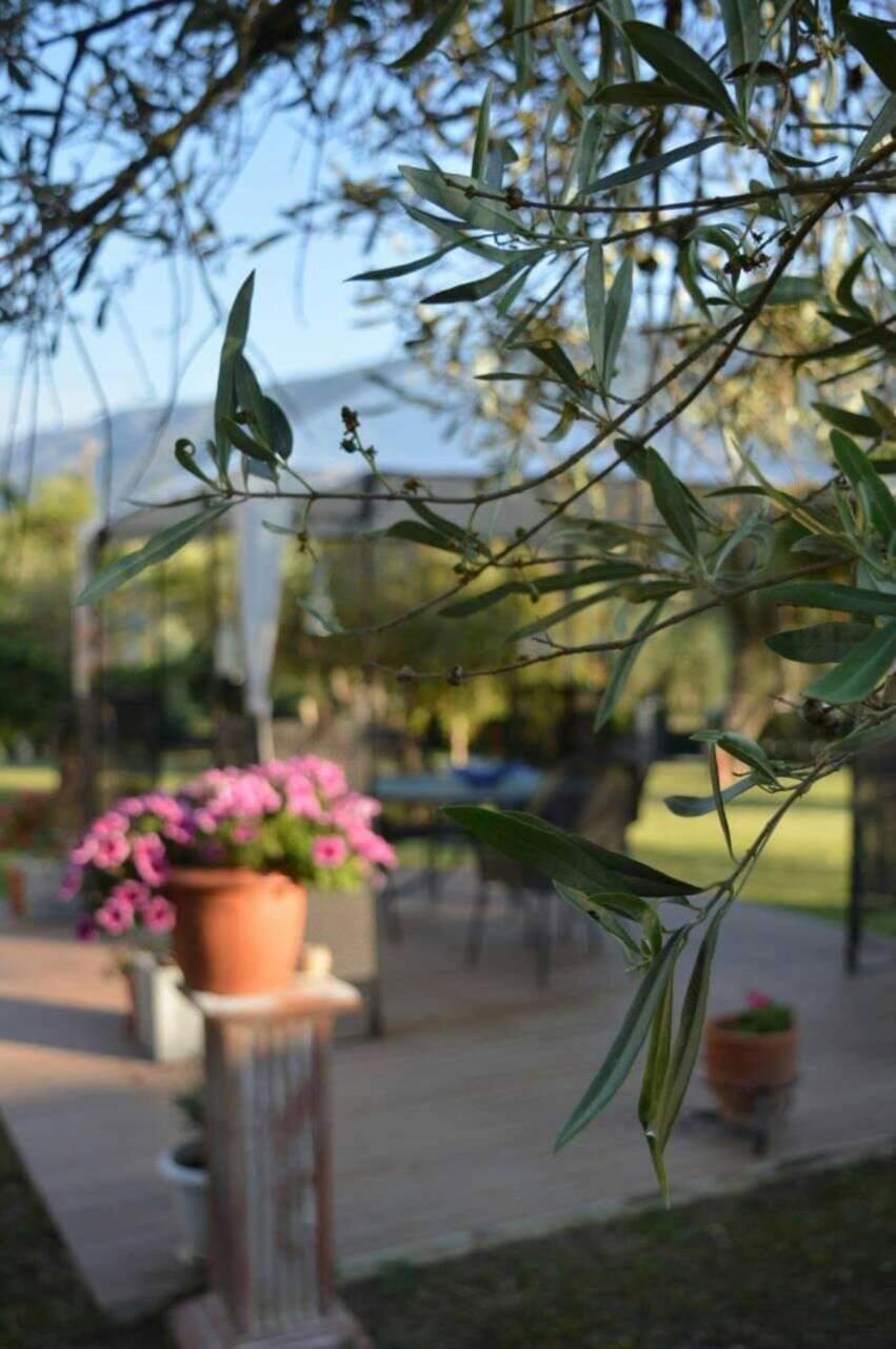 Ferienwohnung Sunny Garden Plataria Exterior foto